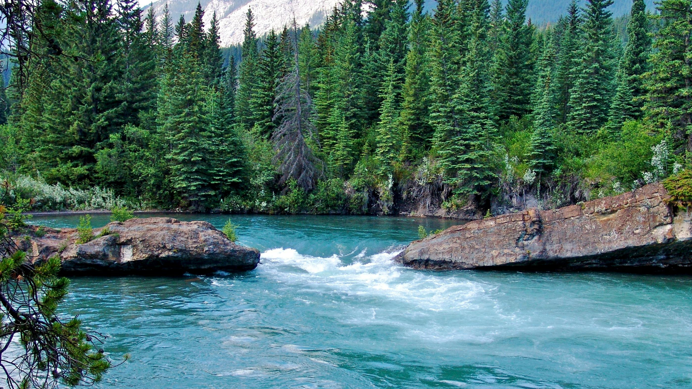 Agua Viva e Vodaflor