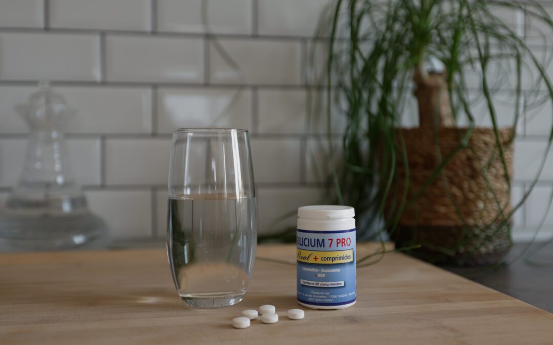 Las Diatomeas: Micro-Organismos Ancestrales al Servicio de su Bienestar