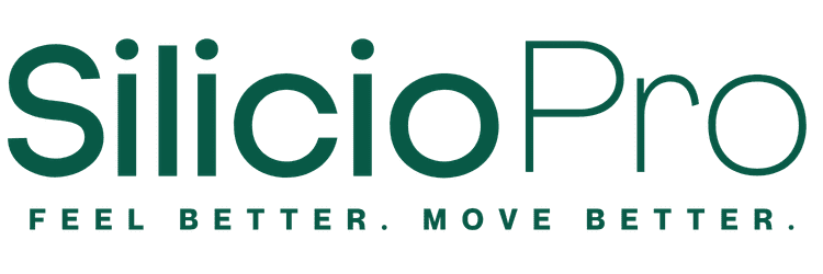 logo siliciopro